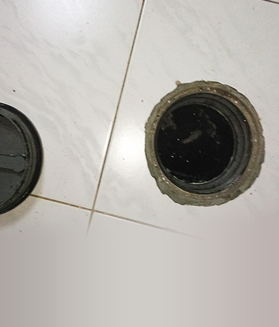 Project Images
