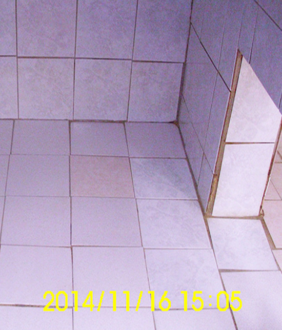 Project Images